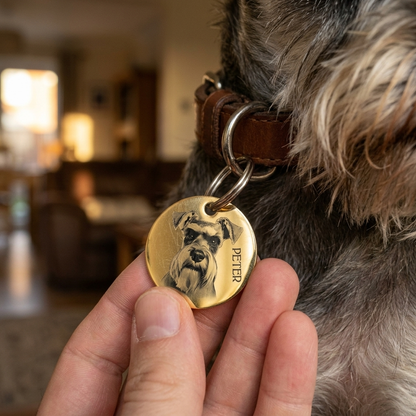 Hand attaching personalized engraved pet ID tag to dog's collar